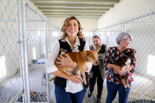 Baja California se consolida como referente nacional en protección animal con Marina del Pilar Ávila