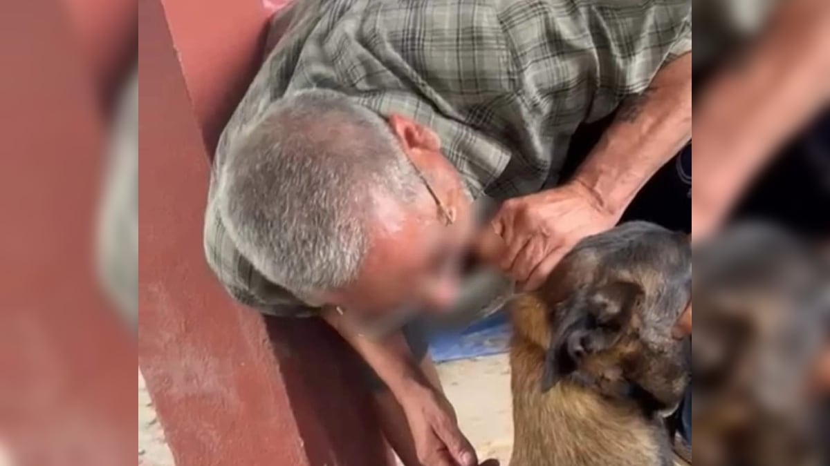 Los agresores son dos adultos mayores que parecían divertirse.