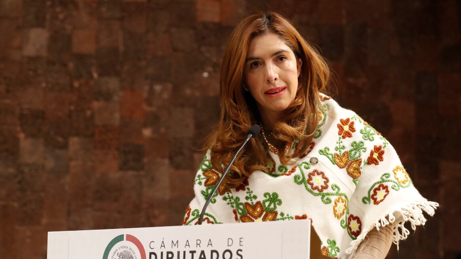 Diputada Melissa Estefanía Vargas Camacho (PRI)