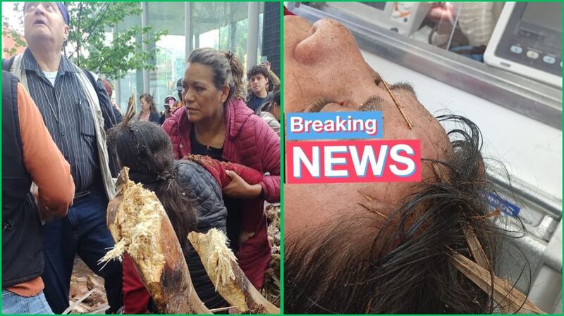 Mujer con una rama en la cabeza