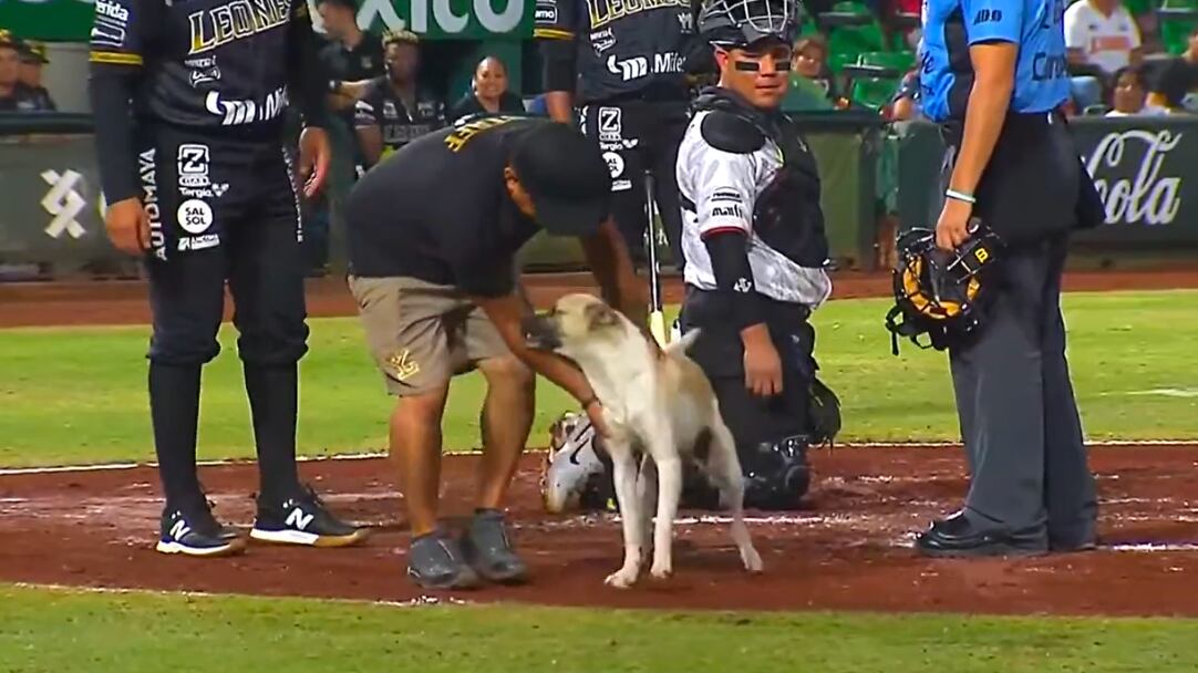 Lomito fue protagonista en juego de la LMB.