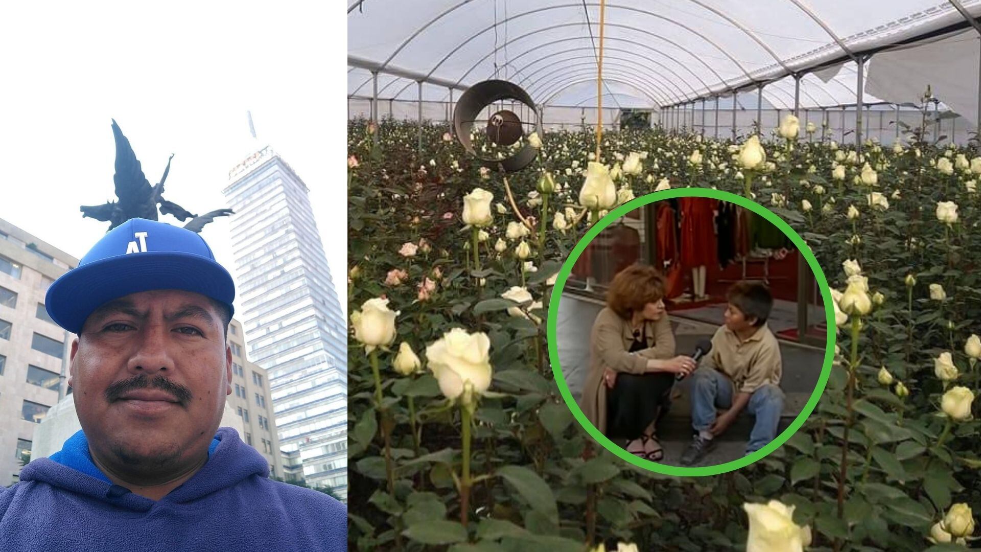 Los deseos de Cristina Pacheco y los sueños de José Alberto, ahora materializados en un campo fértil de rosas blancas.
