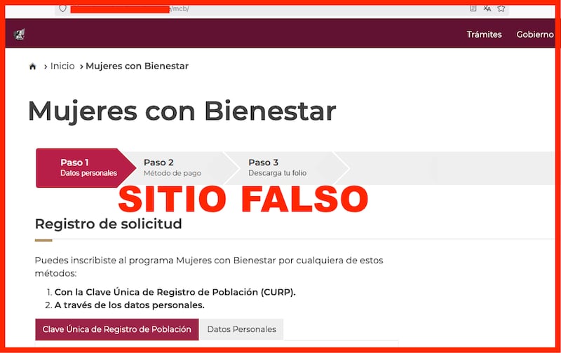 Páginas clonadas de Mujeres con Bienestar y Jóvenes Construyendo el Futuro capturan CURP y datos personales de beneficiarios.