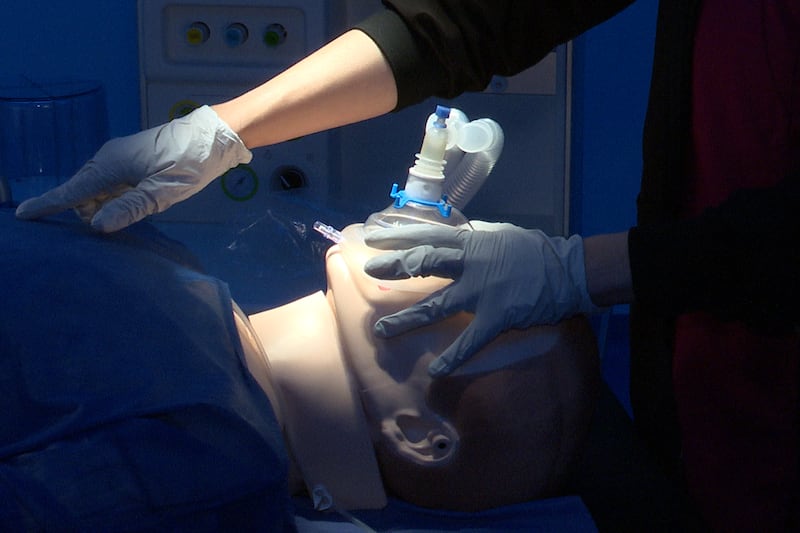 Panchita y Mau, simuladores de avanzada para la enseñanza médica