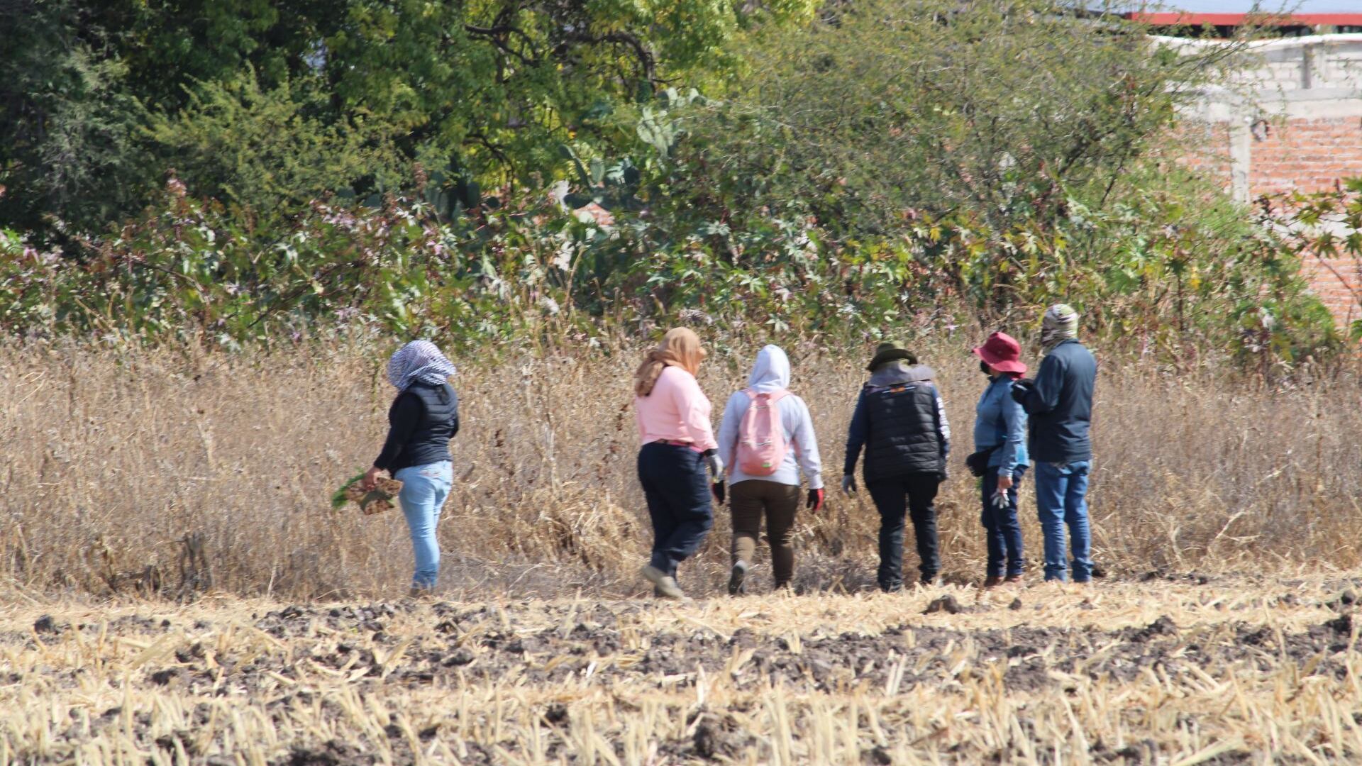 Localizan 27 osamentas en fosas clandestinas de Reynosa, Tamaulipas