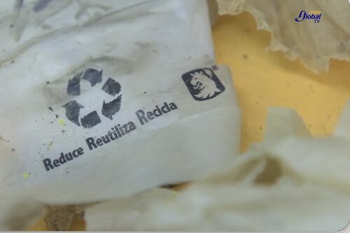 Por una Alcaldía Cuauhtémoc consciente que reduce, recicla y reutiliza pet
