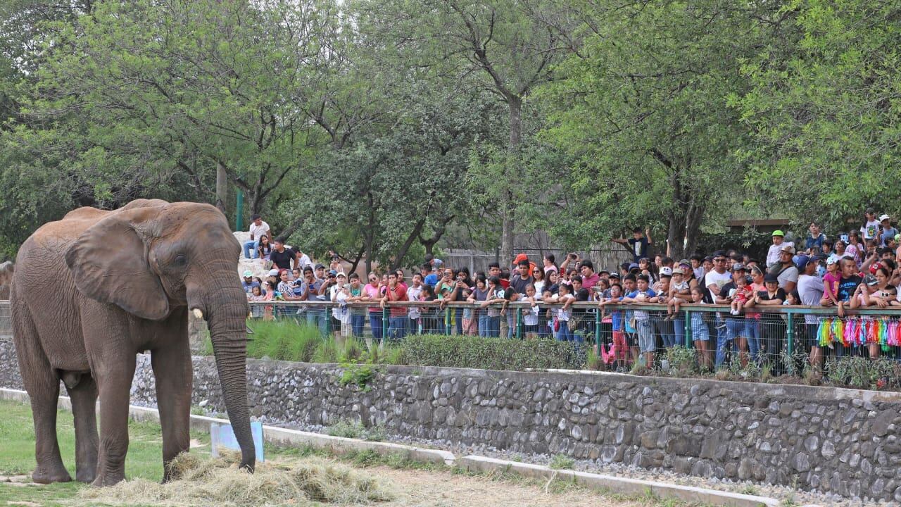 Se recomienda llevar ropa y calzado cómodos, usar protector solar y agua.