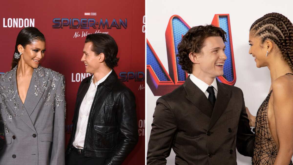 Tom Holland / Zendaya