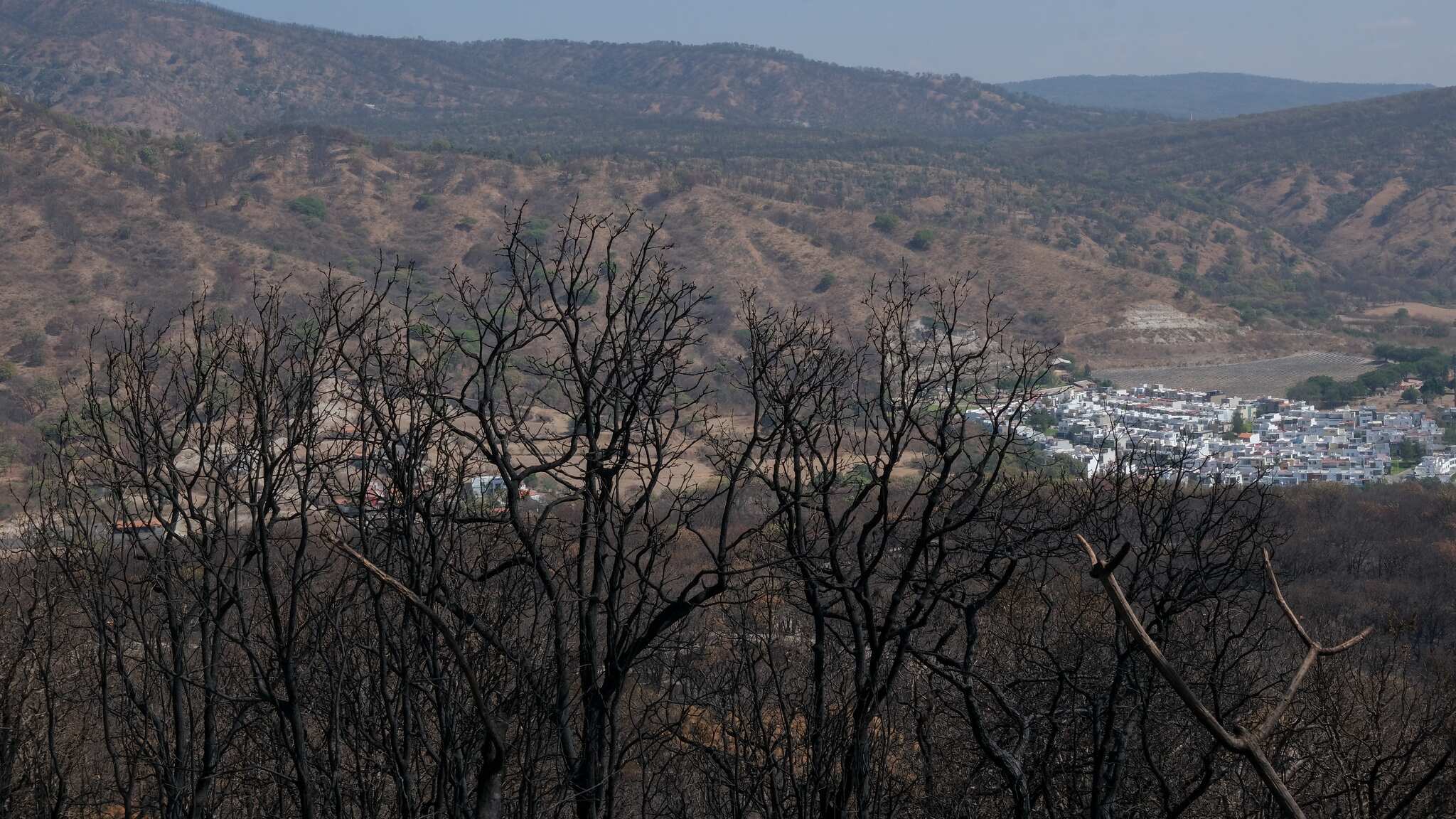El agua tiende a arrastrar la ceniza, escombros y tierra porque no hay nada que retenga estos materiales en la zona alta y la afectación es en los asentamientos humanos.