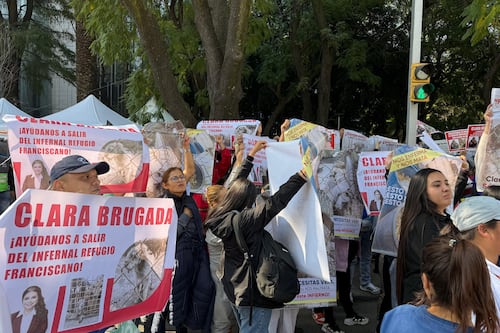 Rescatan a perritos del Refugio Franciscano tras denuncias de maltrato y hacinamiento