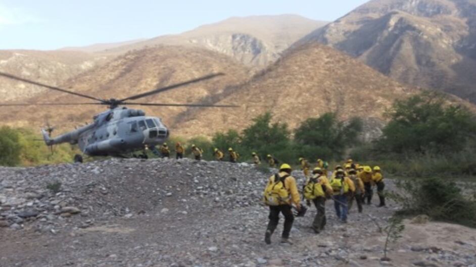 El uso del helicóptero ha sido fundamental.