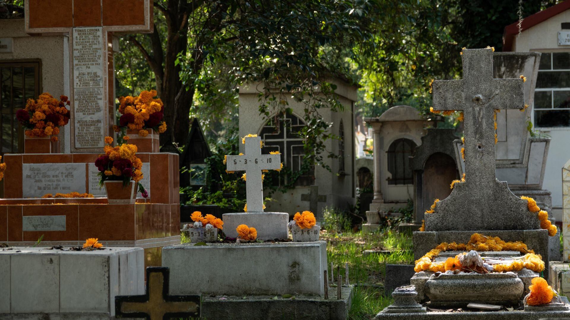 Familias acuden al Panteón Civil de Dolores por Día de Muertos