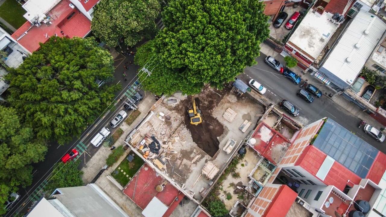 Vecinos defienden a 'Laureano', el árbol centenario que una constructora quiere talar en Benito Juárez