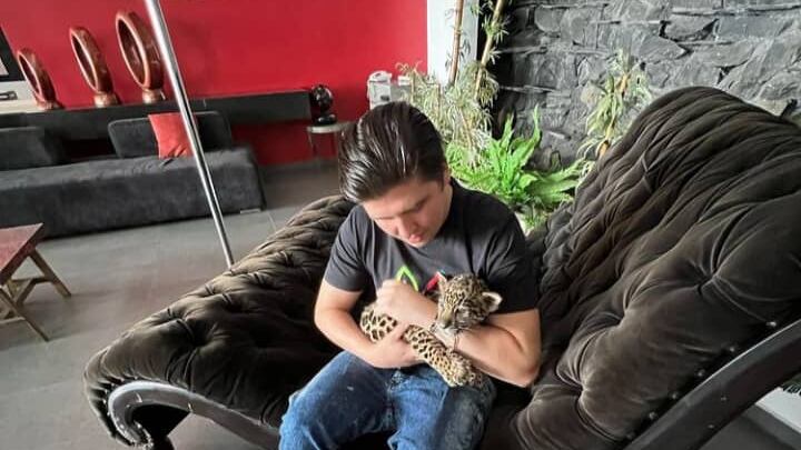 “Tengo un tigre en mi cuarto”: Fofo Márquez revela sus secretos para subir mujeres a su recámara