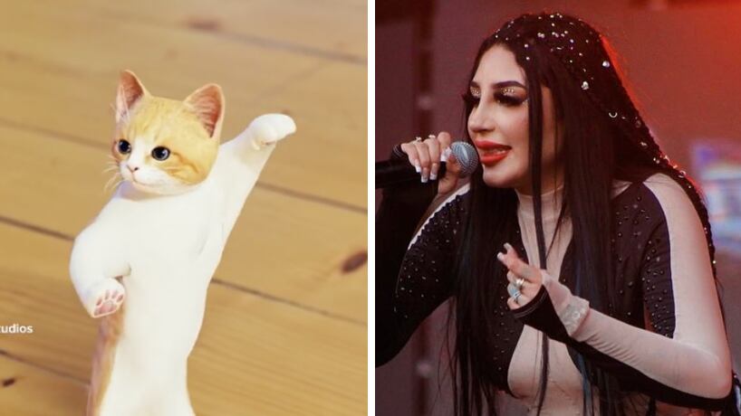 ¿Qué dice la canción de la Gatita de Bellakath?