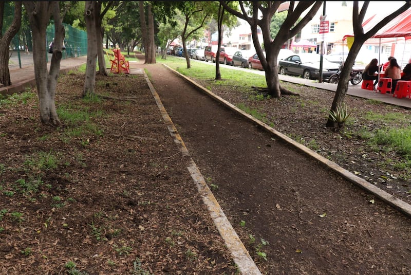 Coyoacán recuperan áreas verdes
