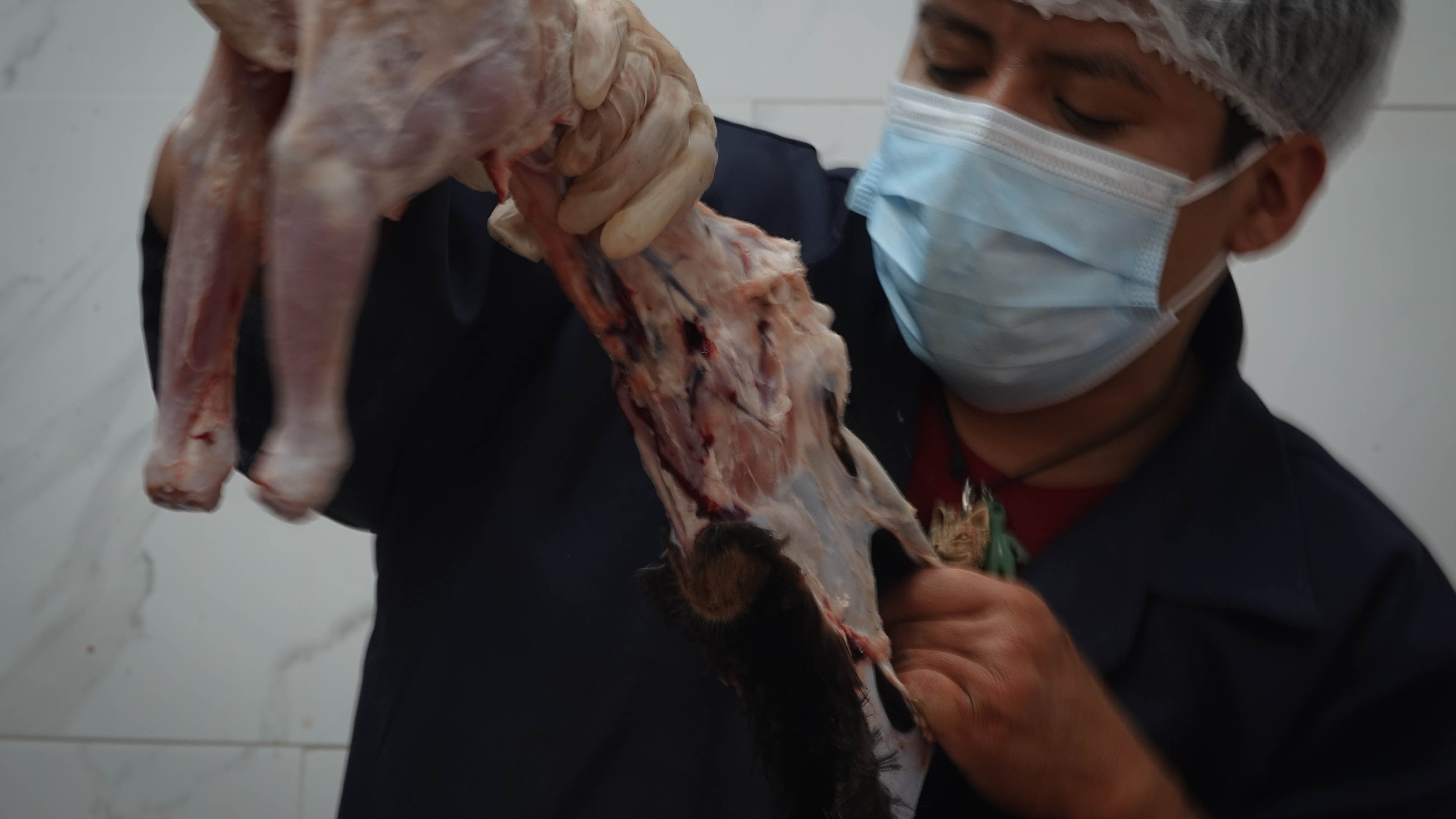 Desde el año pasado comenzó a escasear la producción de cabrito en Nuevo León.