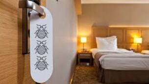 plagas en hoteles