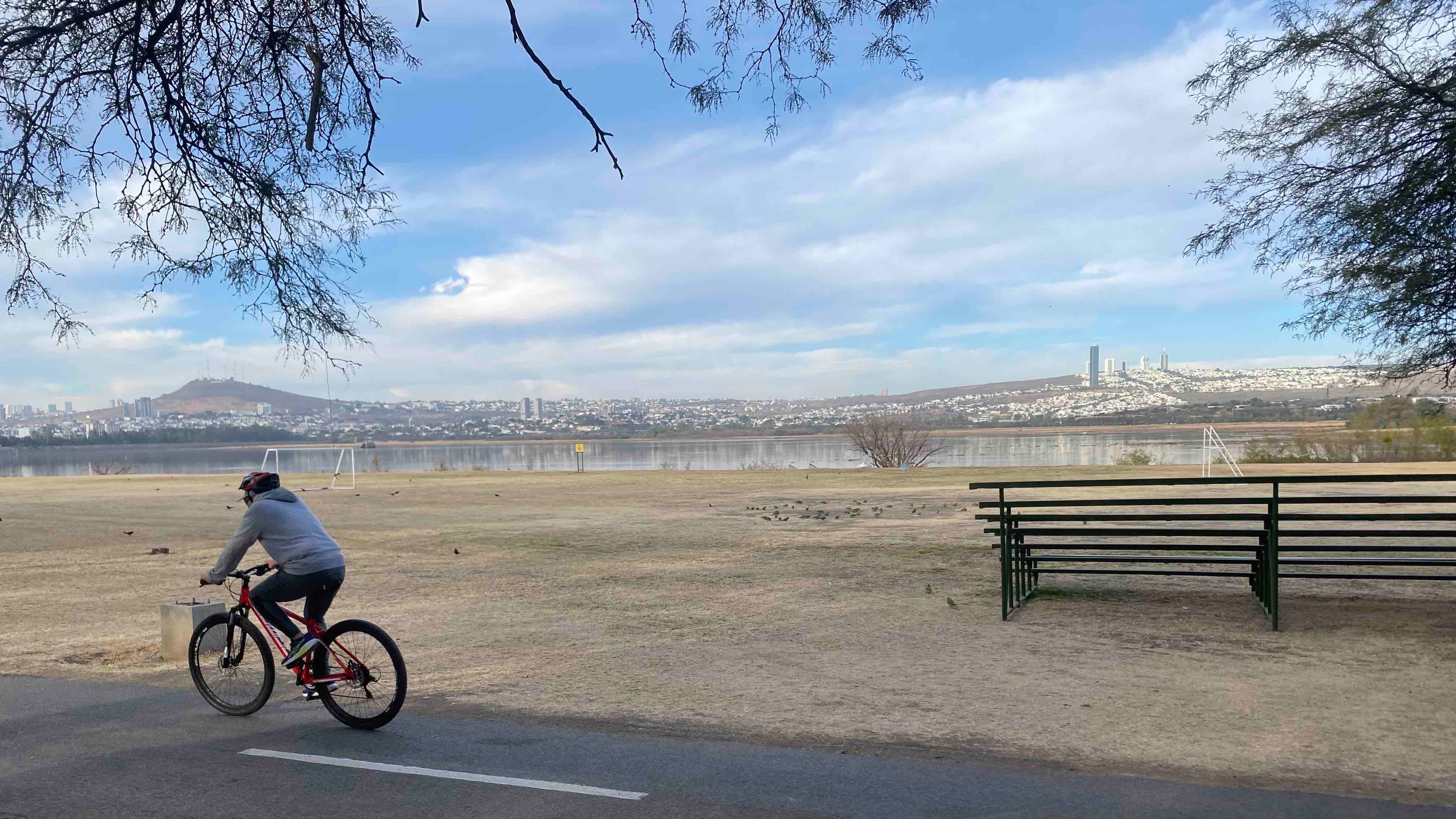 Este mes se elegirá a un nuevo director para el Parque Metropolitano.