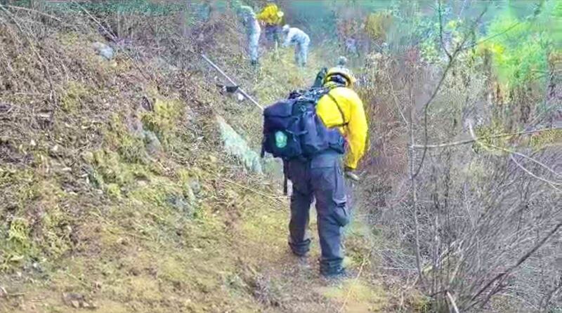 ¿Cómo combaten los incendios forestales en Oaxaca?