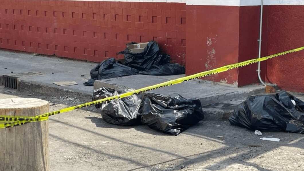 Restos de animales abandonados en la GAM.