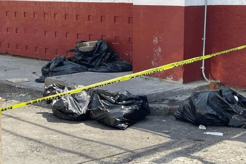 Abandonan restos de animales mutilados en la colonia Industrial de la alcaldía GAM