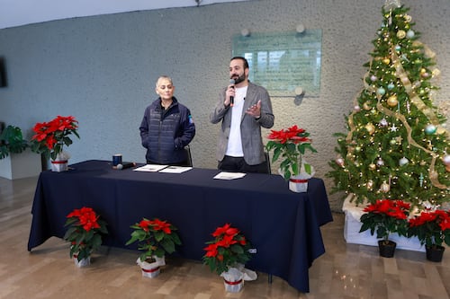 San Pedro multiplicará por tres festejos navideños