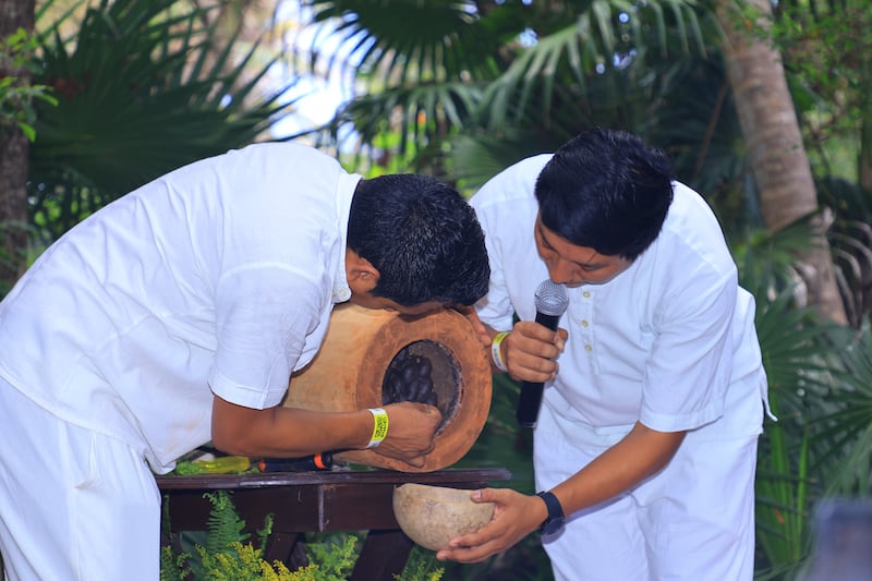 Conoce más acerca de una de las especies más valoradas por la cultura maya en el Festival de la Abeja Melipona que se celebra en Xel Ha