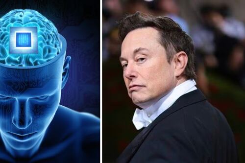 Elon Musk afirma que ya es posible controlar un ratón con la mente gracias a los chips de Neuralink