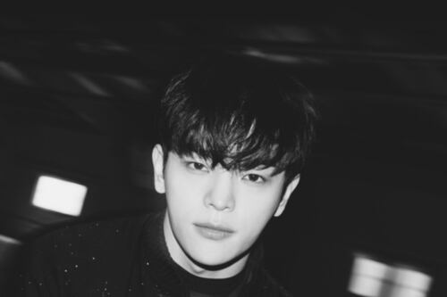 Kim Woojin anuncia concierto y fan meeting en México