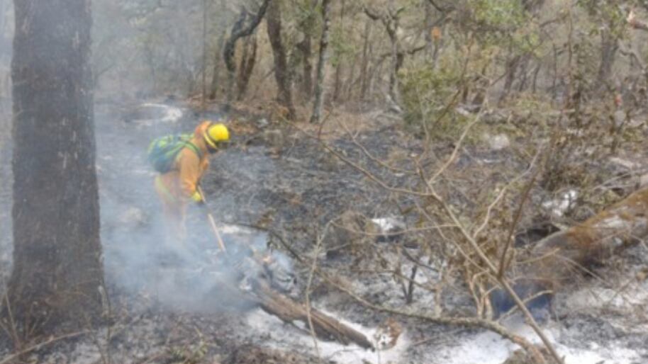 Incendio forestal con dos semanas de duración.