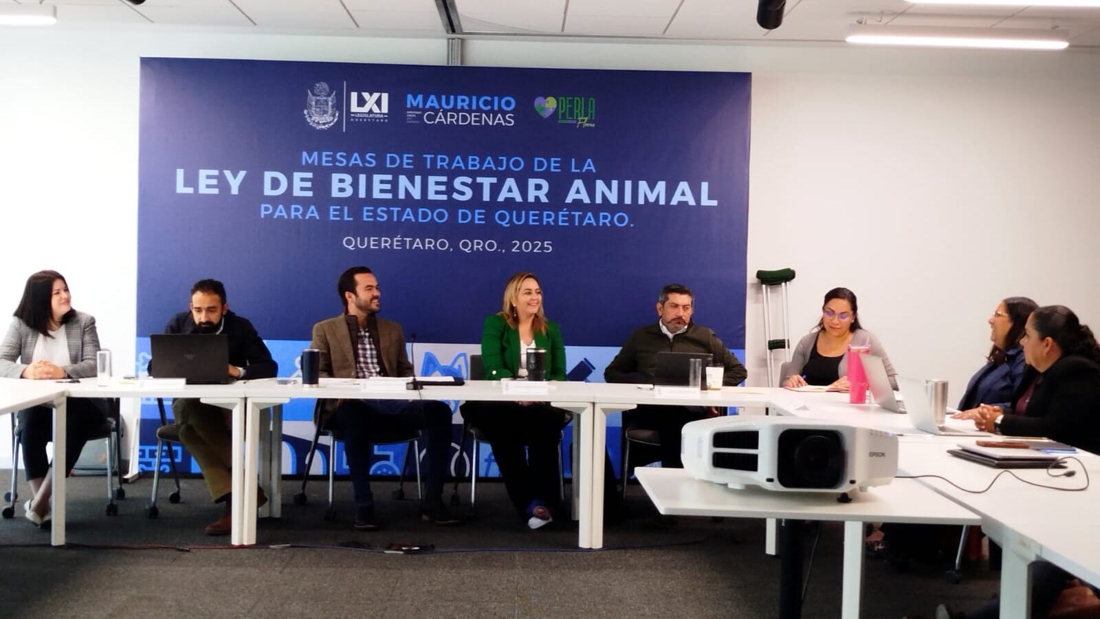 Ley de Bienestar Animal dejará fuera tauromaquia, serán 15 meses de trabajo/