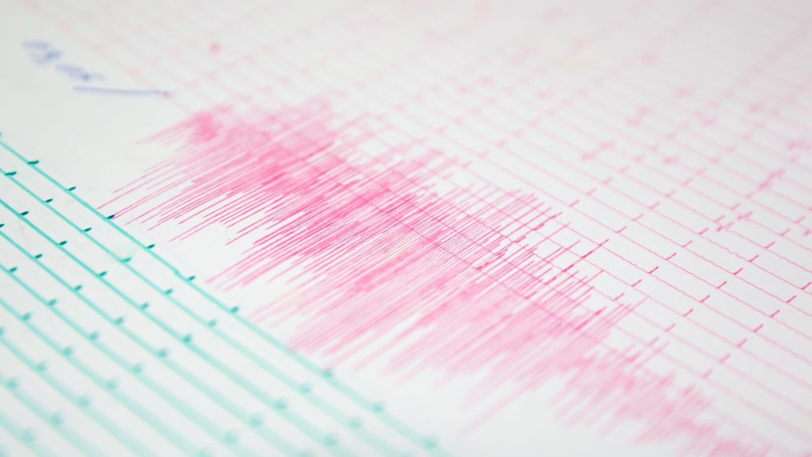 Las autoridades no reportaron daños a personas ni edificios.