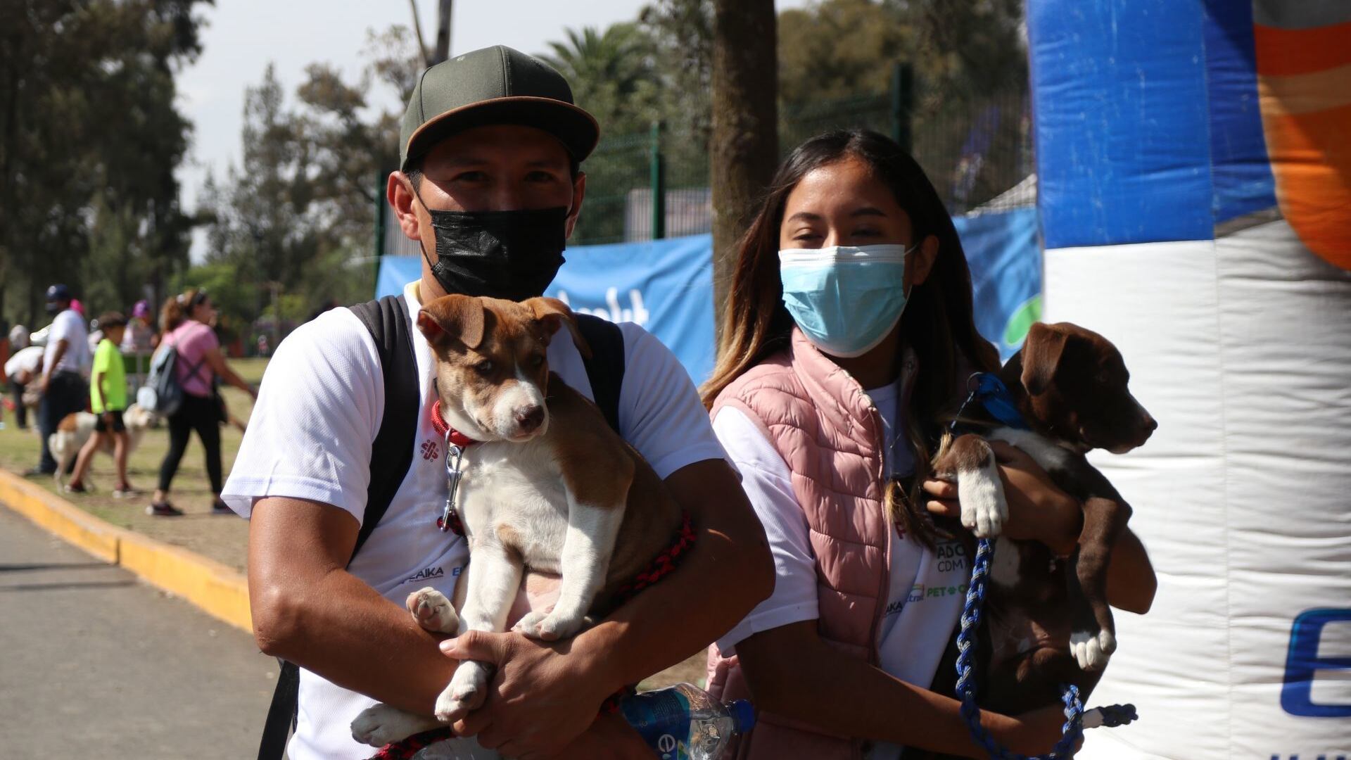 Celebrar al niñ@ y cuidar a los perrhijos