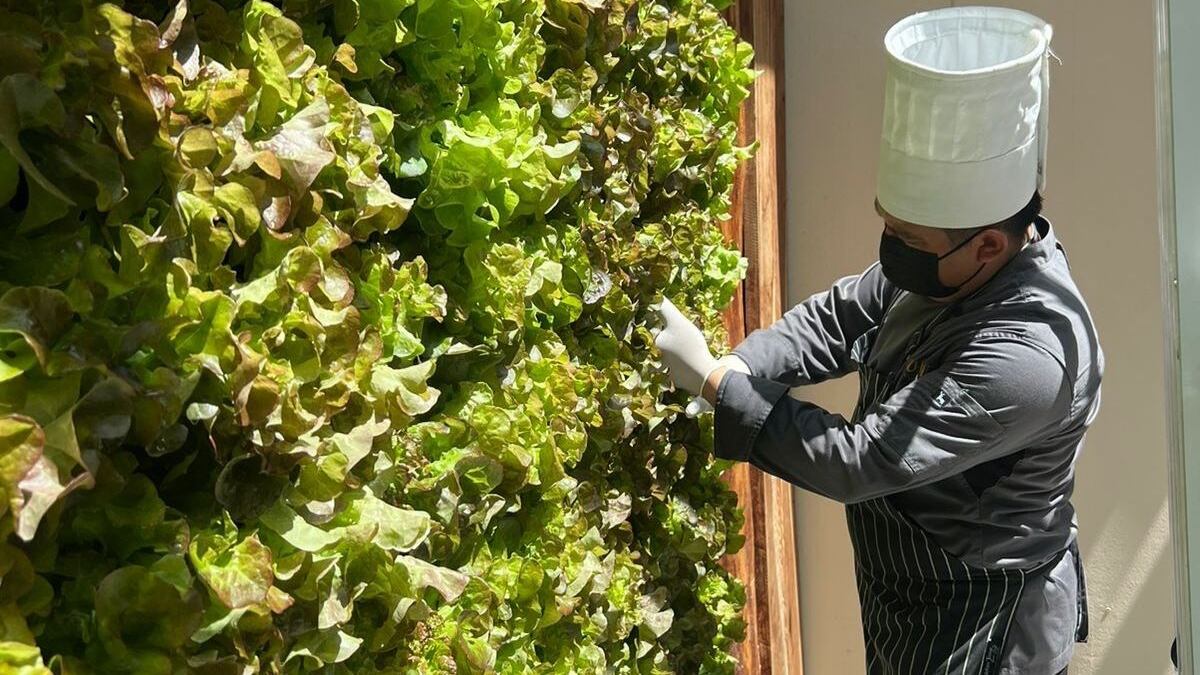 Granjas-verticales-huertos