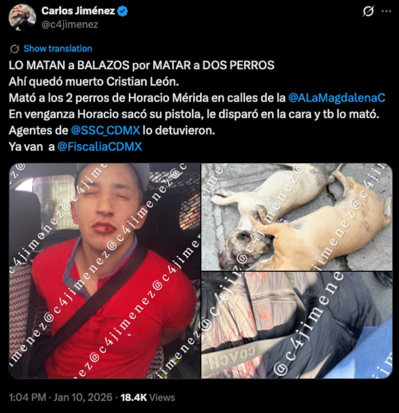 Asesina al matón de sus perritos