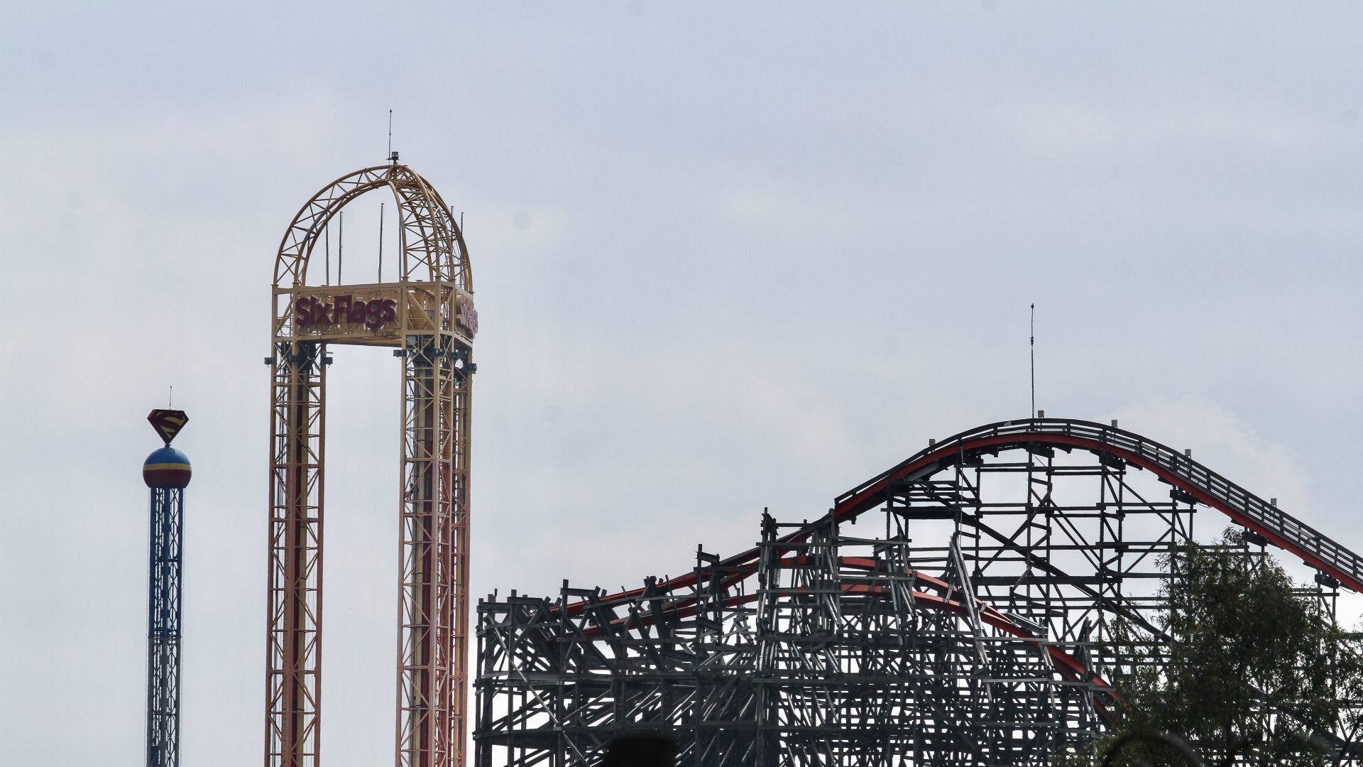 Sedema afirma que Six Flags no tiene permiso para talar 150 árboles