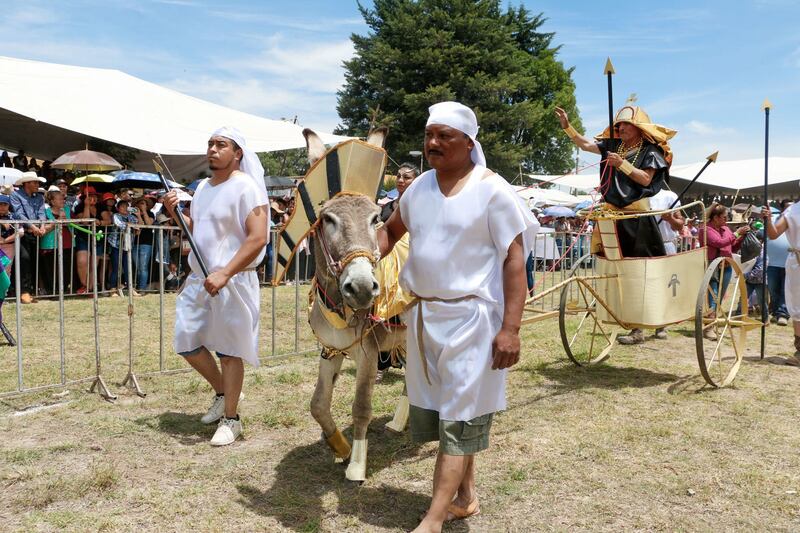 Concurso nacional de burros adornados en Otumba