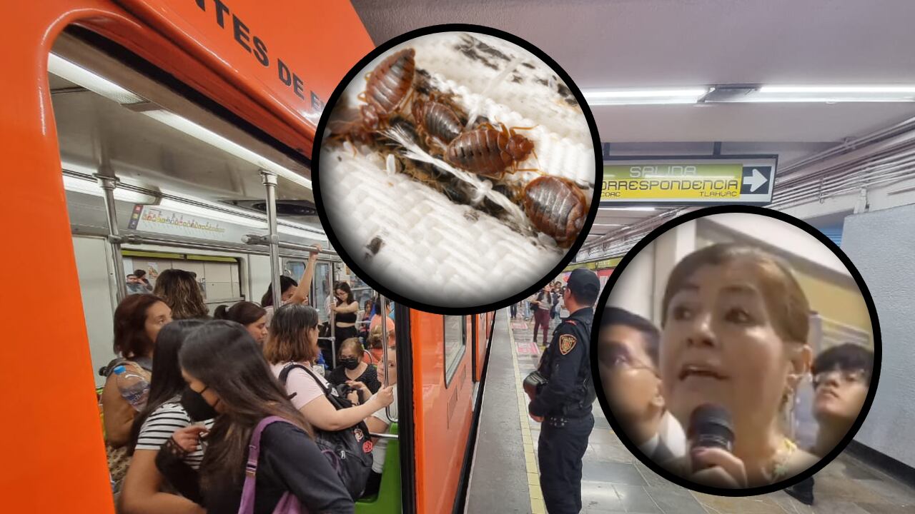 unam-chinches-facultad-de-derecho-metro-cdmx