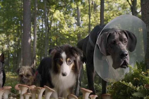 Hijos de Perra: Se revelan los nombres de los actores de doblaje de la versión para Latinoamérica