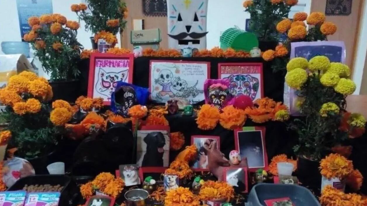 Ofrenda de Muertos Animales