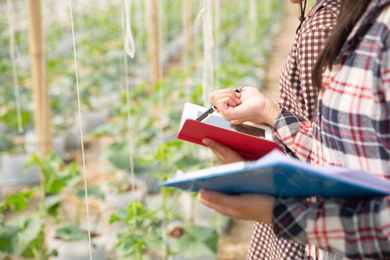 Nanotecnología agrícola: el proyecto mexicano que busca transformar el campo