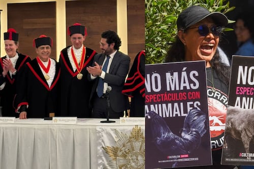 #PolíticaConfidencial: Marath esquiva las 40 horas y el Couttolenc revive la batalla contra la crueldad taurina