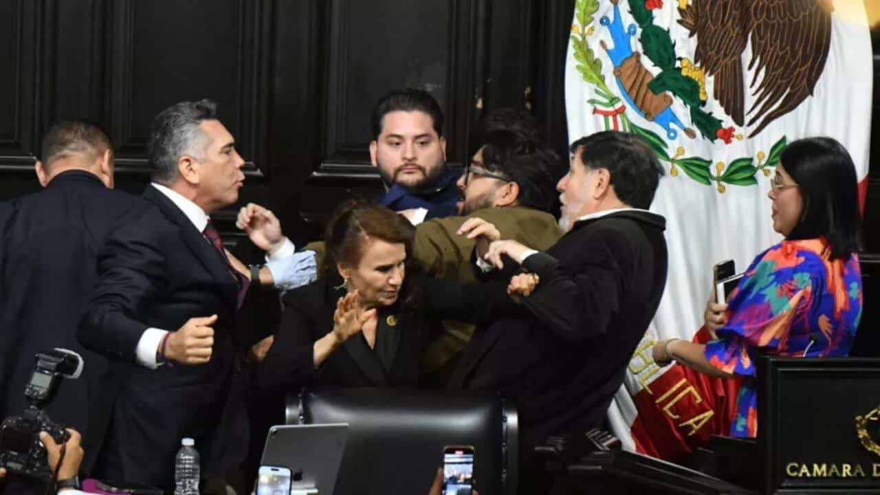 Diputados se agarran a golpes
