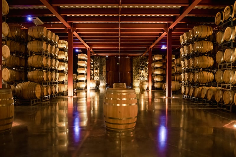 Casa Madero, Don Leo, la Ruta Vinos y Dinos, su gastronomía típica y más de 40 opciones de hospedaje consolidan a este Pueblo Mágico como un imperdible para amantes del vino y la cultura