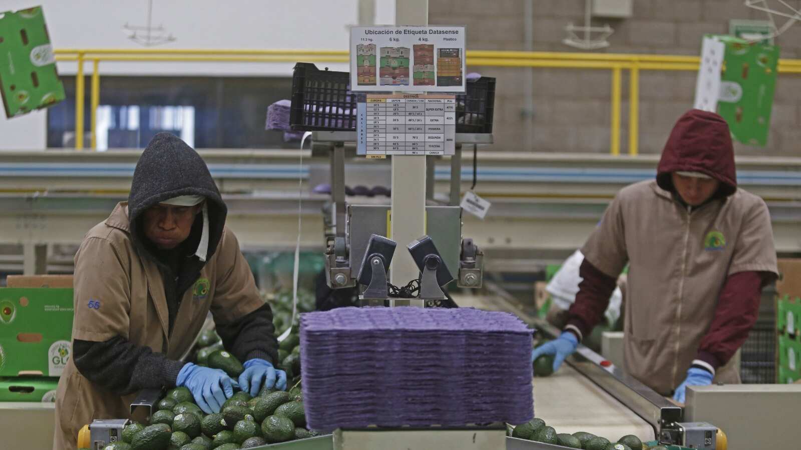 12 millones de días de trabajo se pierden cada año por incapacidades asociadas a salud mental; quienes experimentan Burnout, tienen 2.6 veces más probabilidades de renunciar.