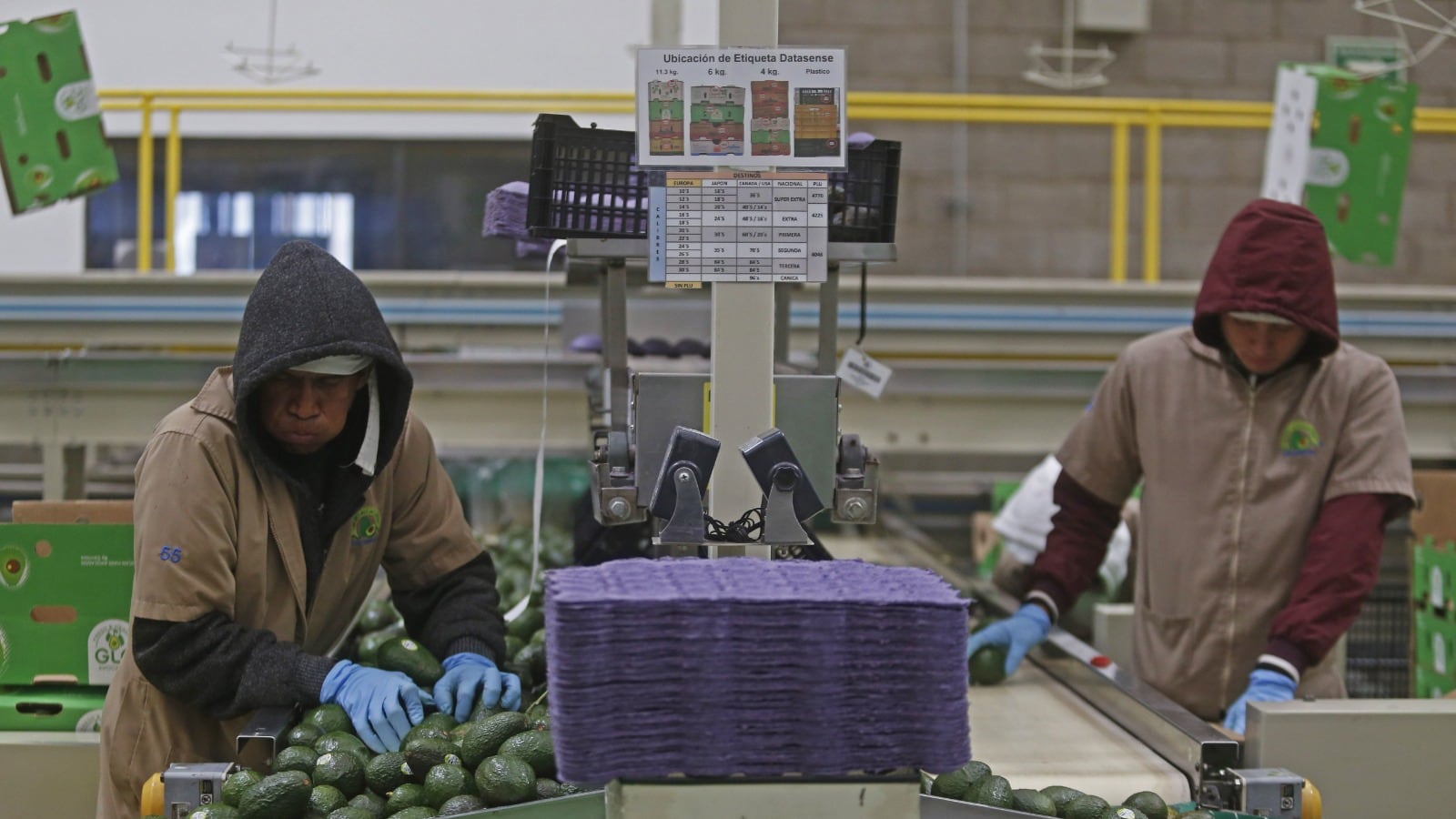 12 millones de días de trabajo se pierden cada año por incapacidades asociadas a salud mental; quienes experimentan Burnout, tienen 2.6 veces más probabilidades de renunciar.