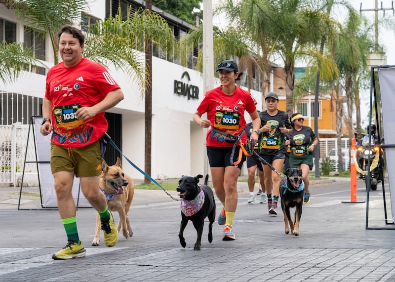 Simicarrera Guadalajara