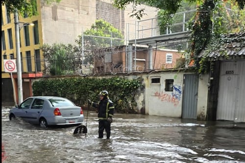 Lluvias colapsan la CDMX: encharcamientos y árboles caídos paralizan la ciudad