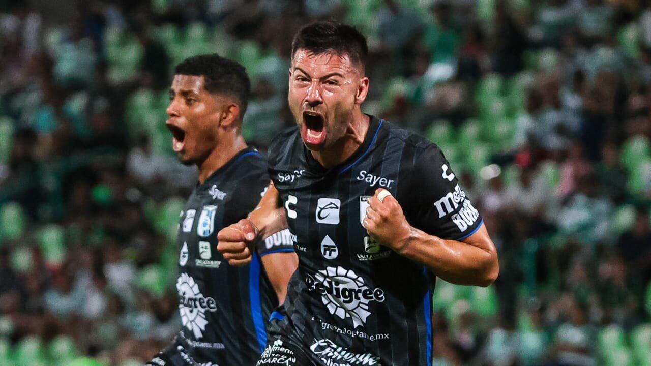 Gallos blancos del queretaro